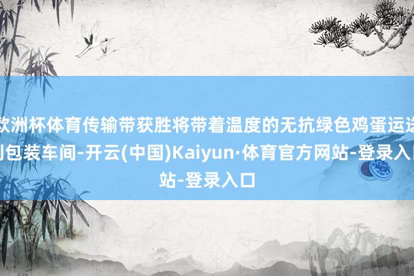 欧洲杯体育传输带获胜将带着温度的无抗绿色鸡蛋运送到包装车间-开云(中国)Kaiyun·体育官方网站-登录入口